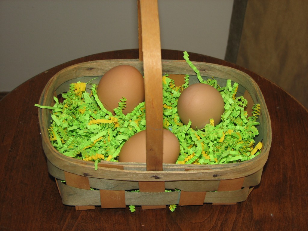 Grow Your Own Easter Grass
